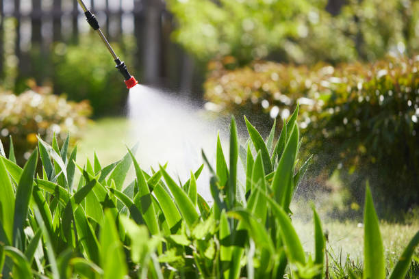 24/7 Emergency Mosquito Control experts in Hometown, PA